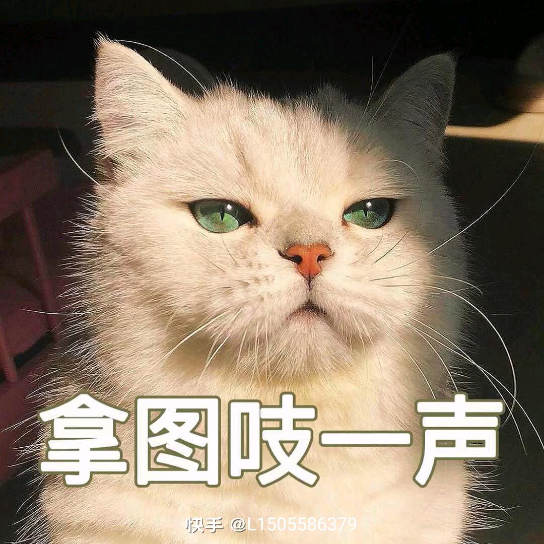 难得糊涂