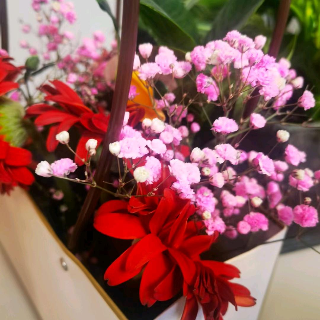 你若精彩，天自有安排