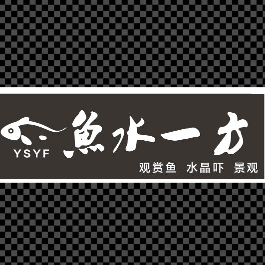 麦盖提县鱼水一方水族
