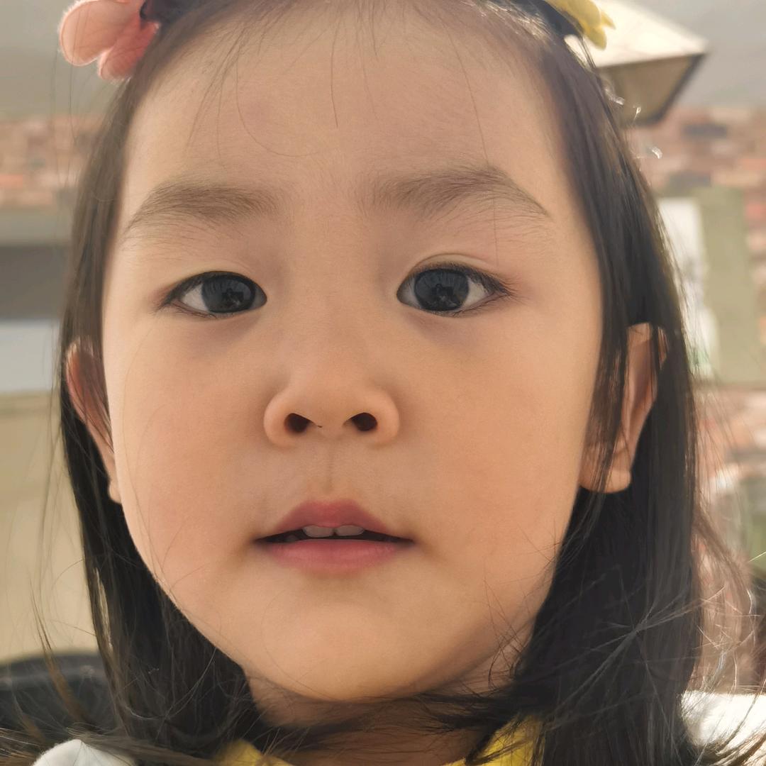 是猫咪不是猫喵