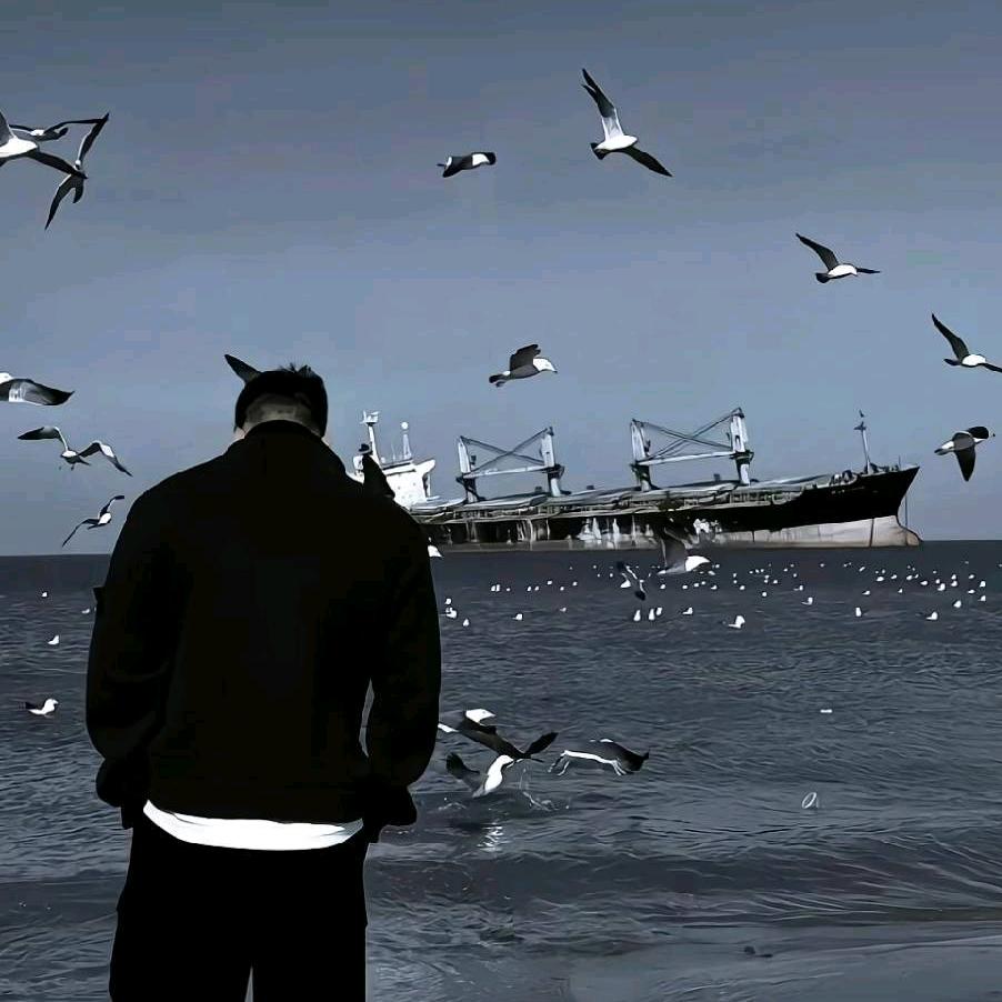 离殇🌊🌊