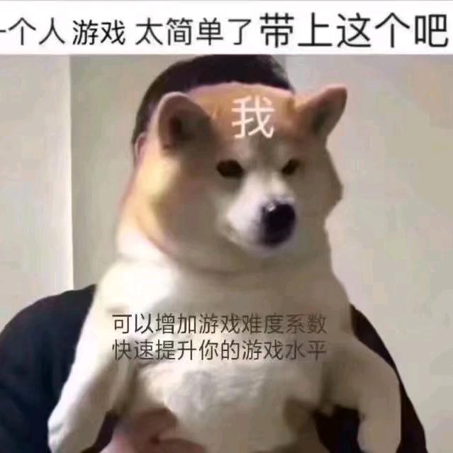胖胖的银宝