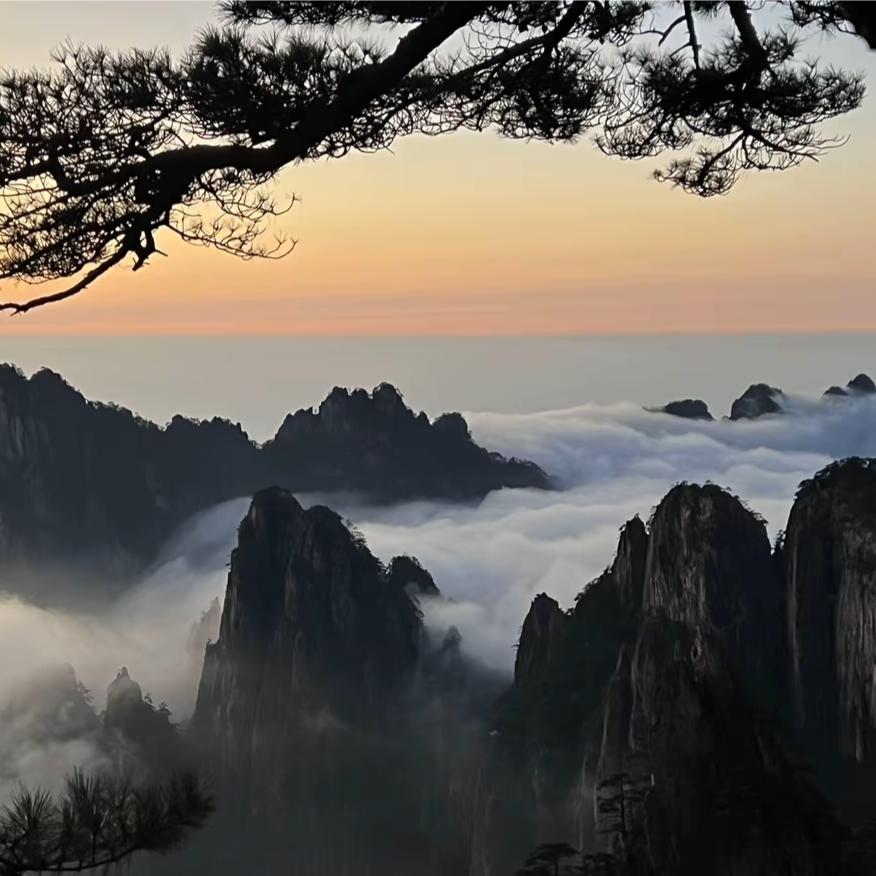 不撞北城心不死