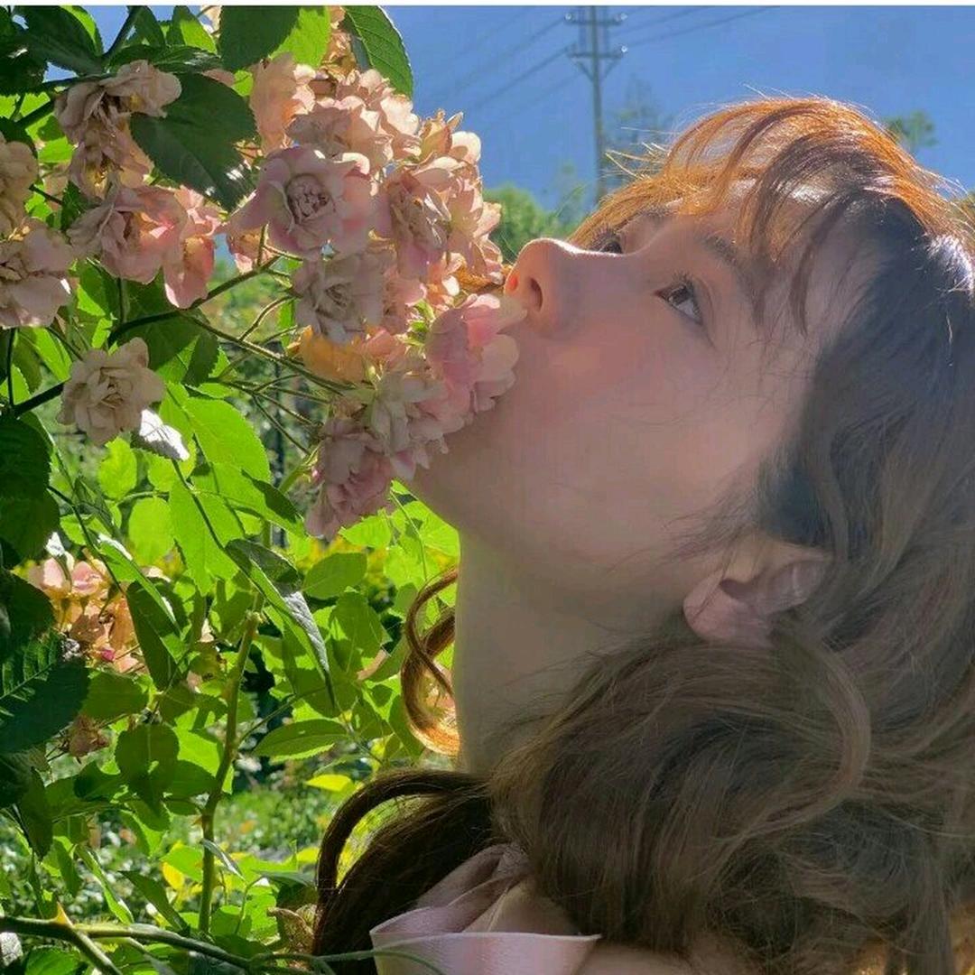 木子姐
