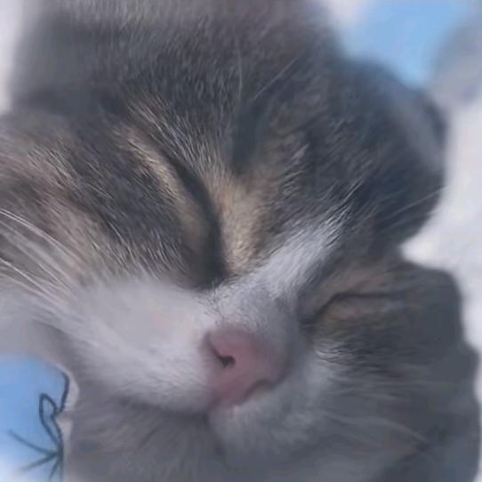 -卖女孩的小火柴