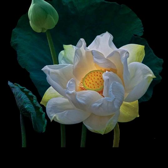 佳宝养殖场🐷🐷