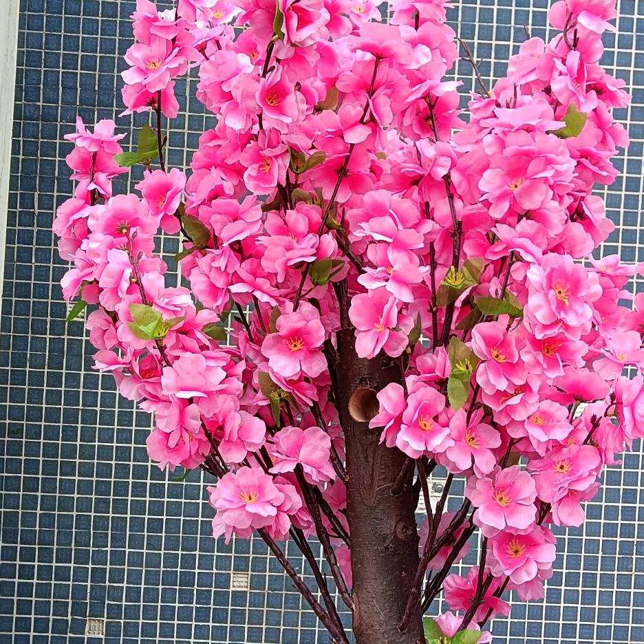 龙洞水。