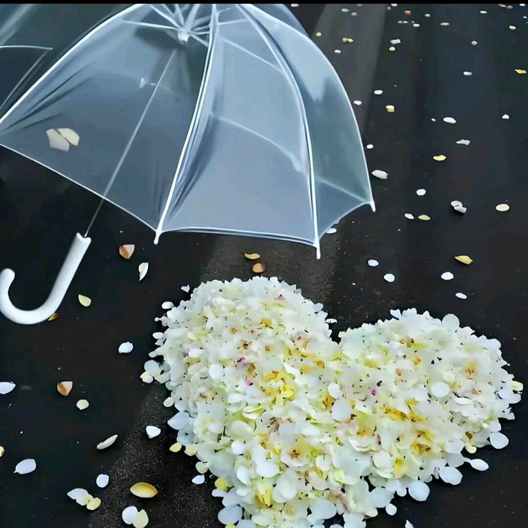 脚踏实地斗志昂扬