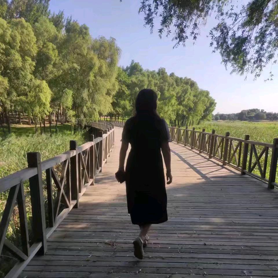 🍁暖阳🍁