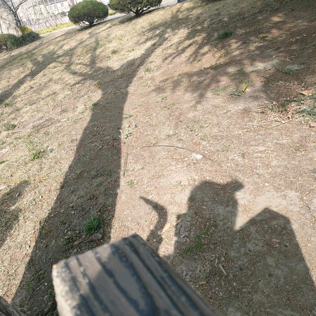 谁偷了我的伞