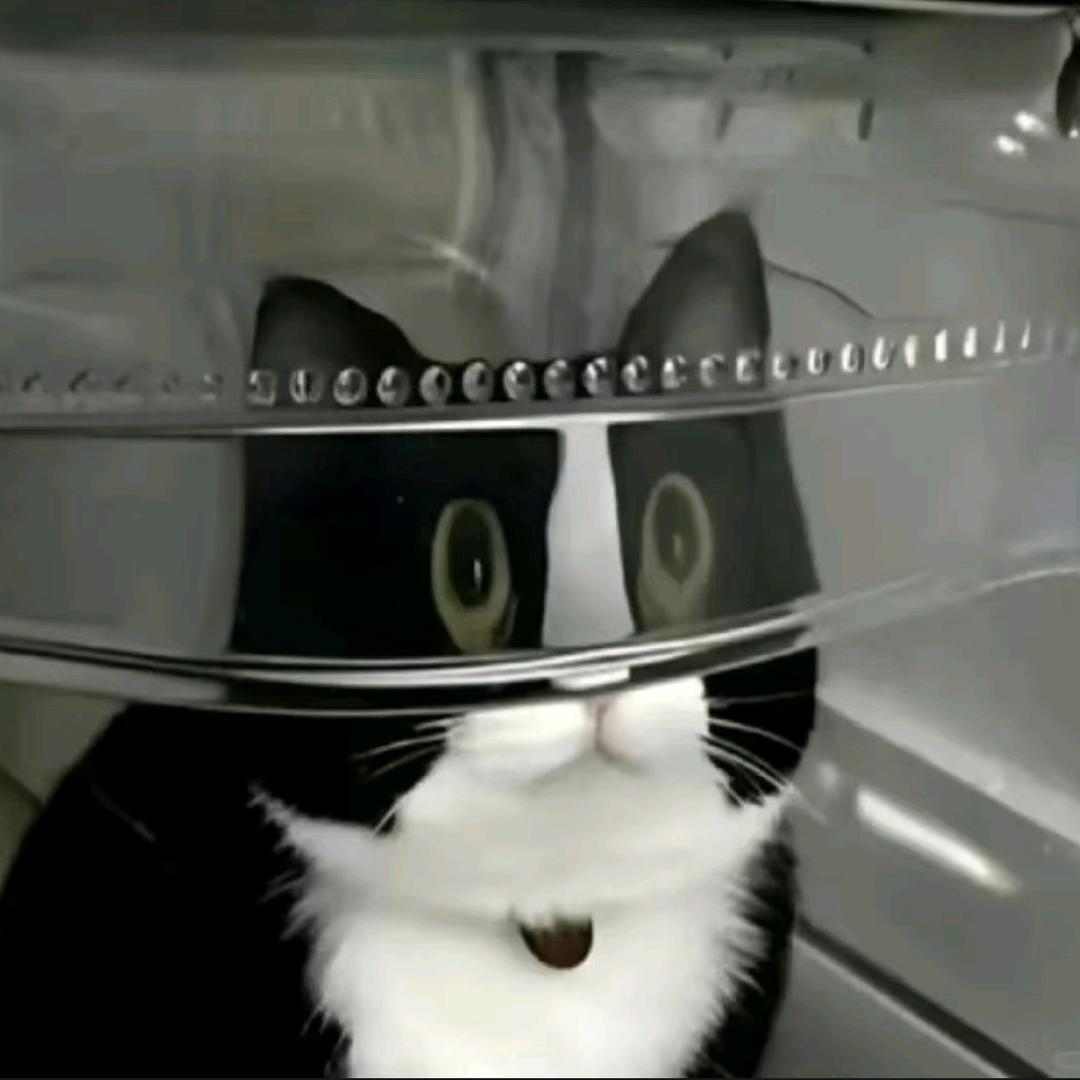 月亮不睡我不睡👾