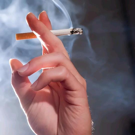 此🐉情🔥独🐉行🔥