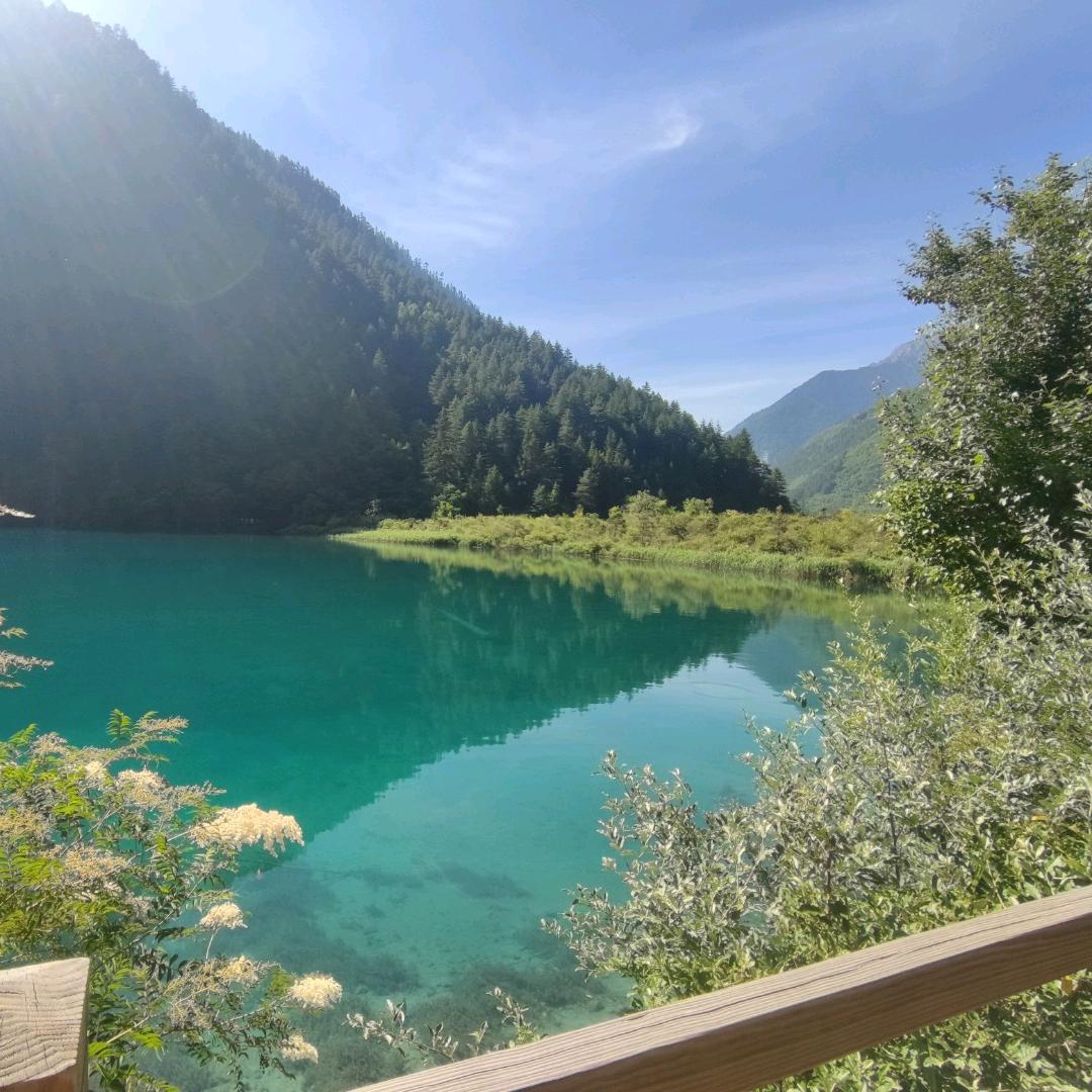 冬天里的小太阳