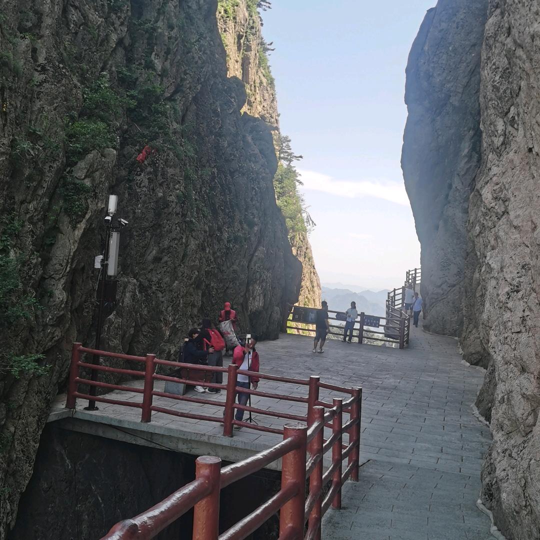 月色随风