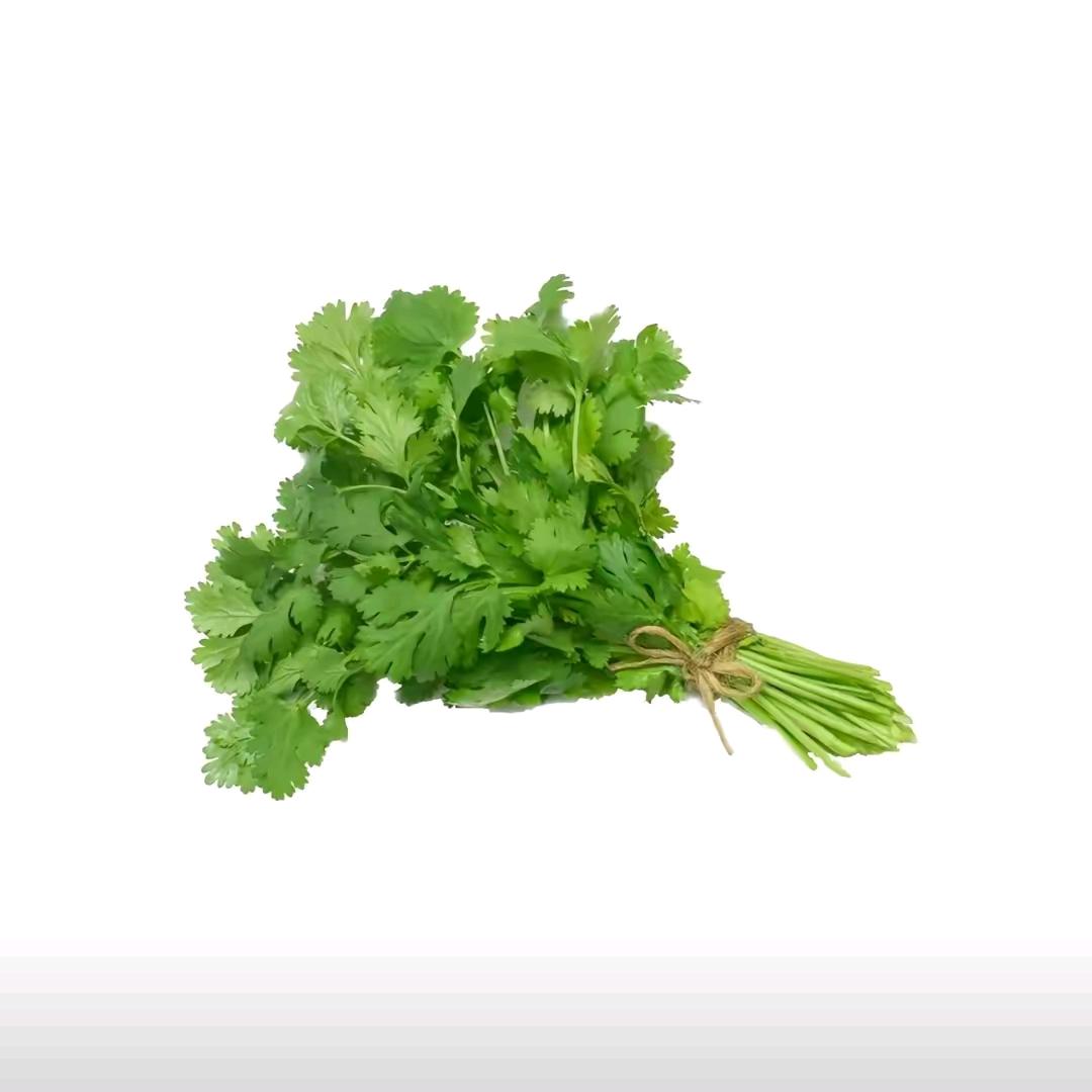 金正安🧑‍🌾