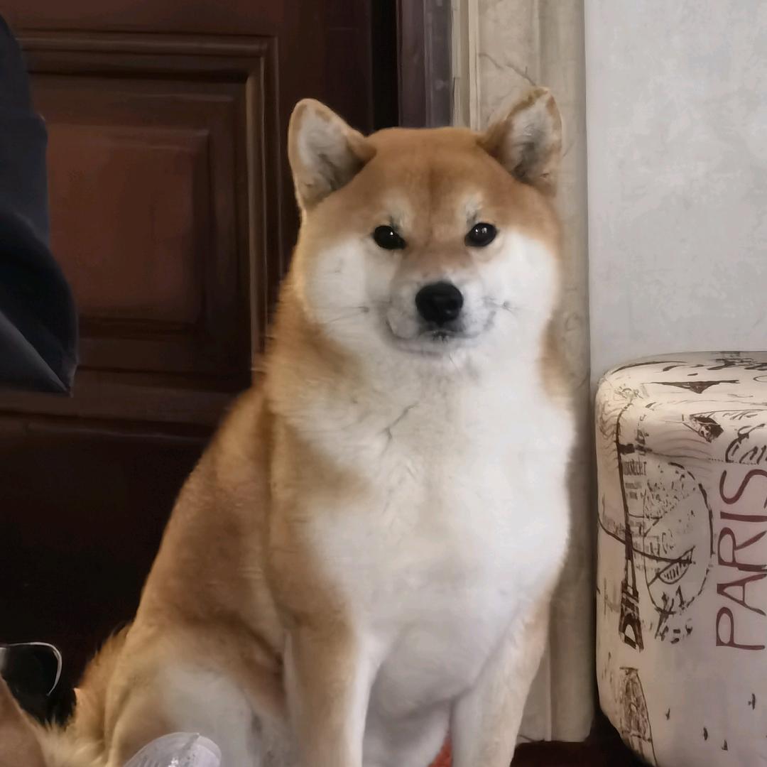 美国黑人