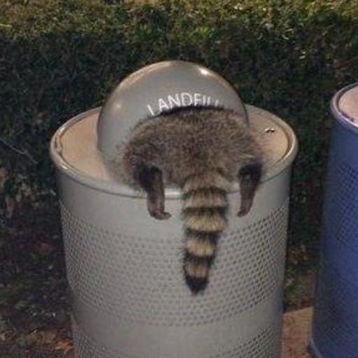 纯情无比暴龙战士