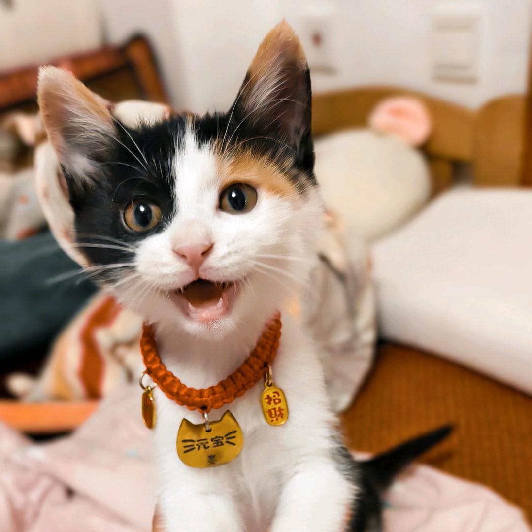 是九九啊