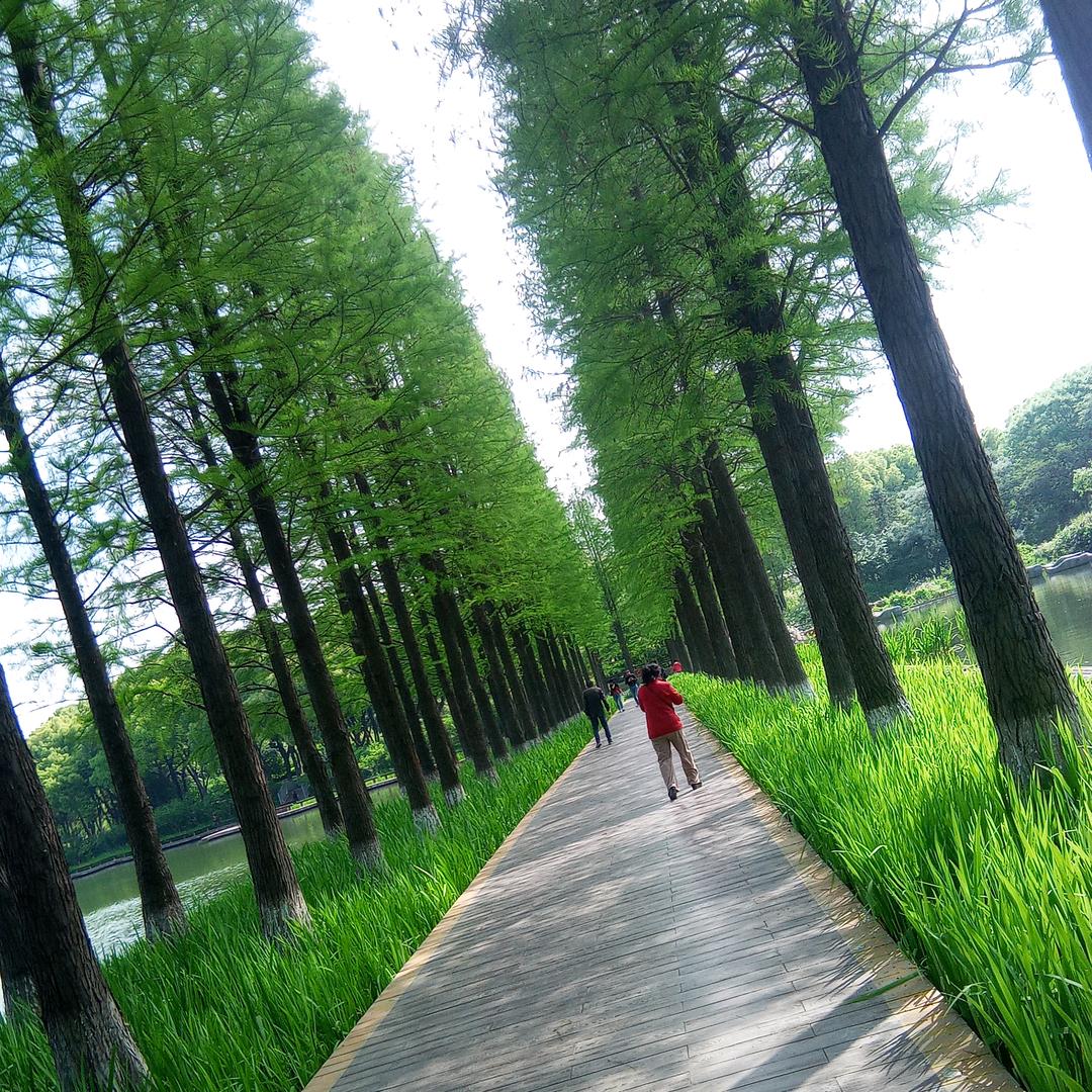 雨过天晴🌺