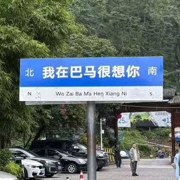 我在巴马等你