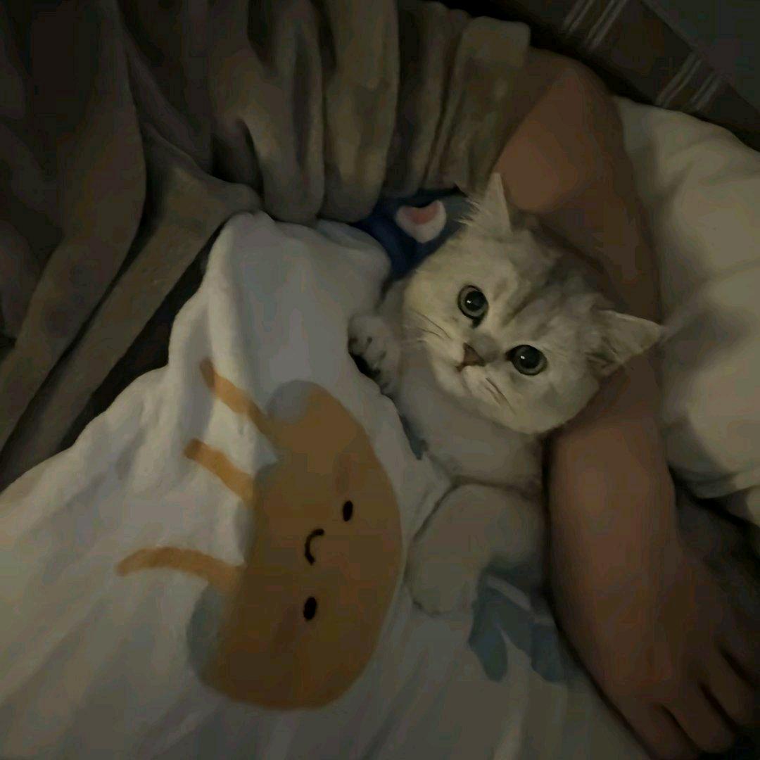 一包糟
