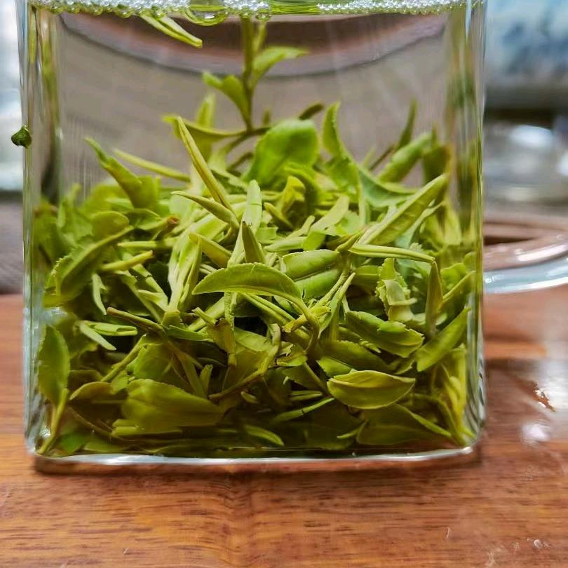 春序茶叶