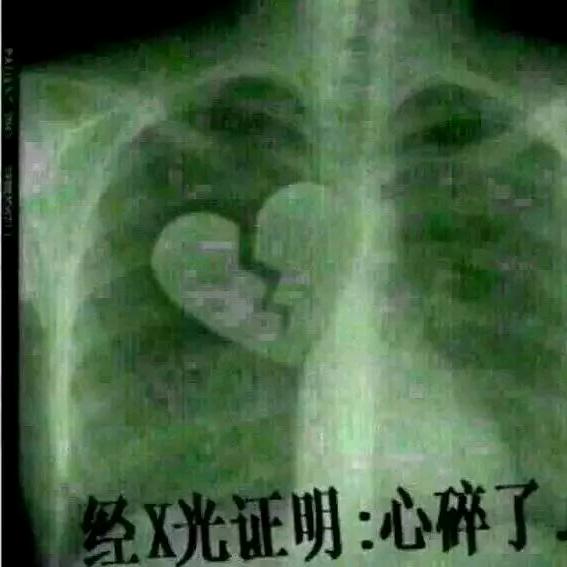 往前看   向前冲
