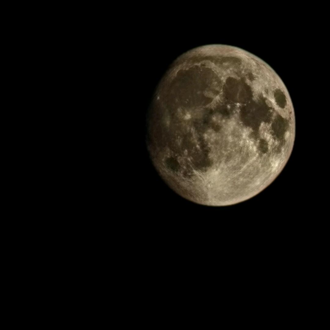 逝去青春的贵族