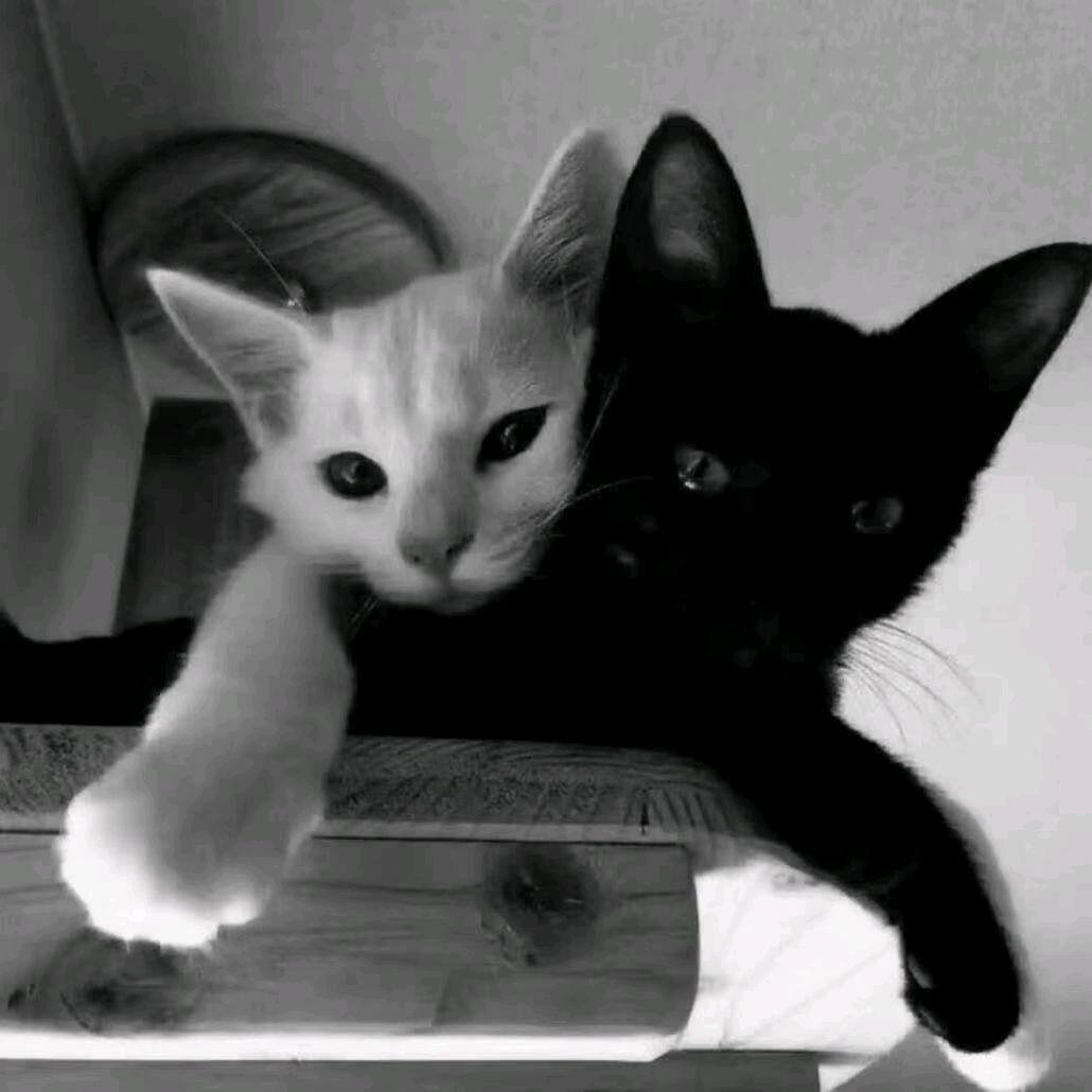 李·