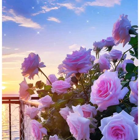 🧚🏻‍♀️与你相冯🧚🏻‍♂️