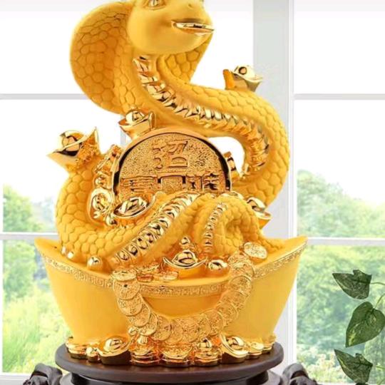 我的生活，我作主