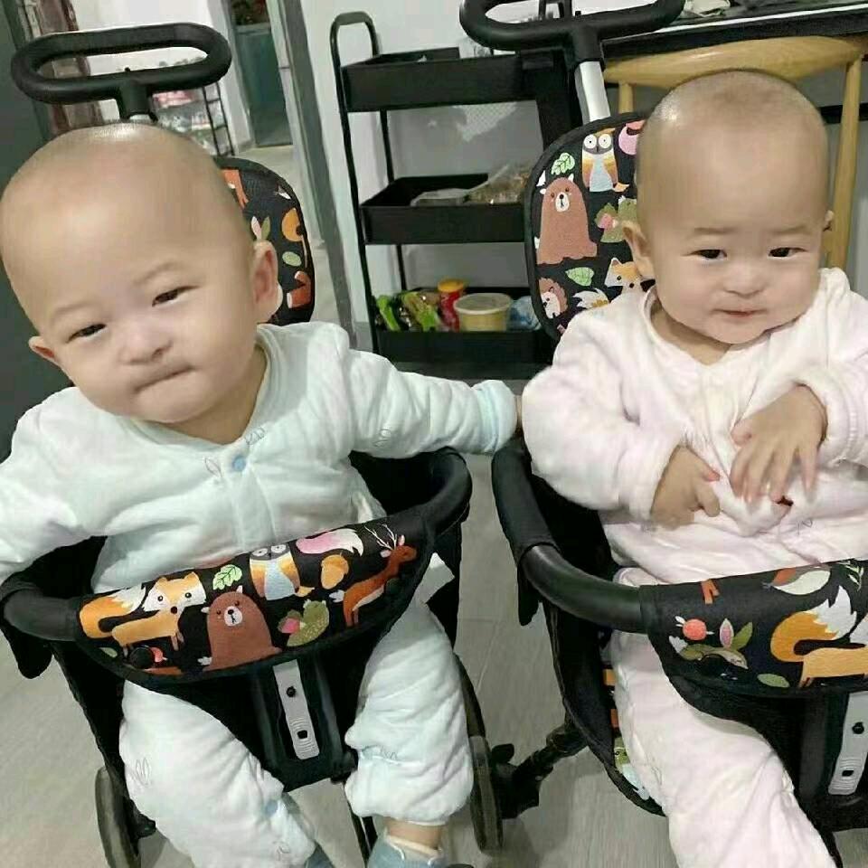 生命至尊