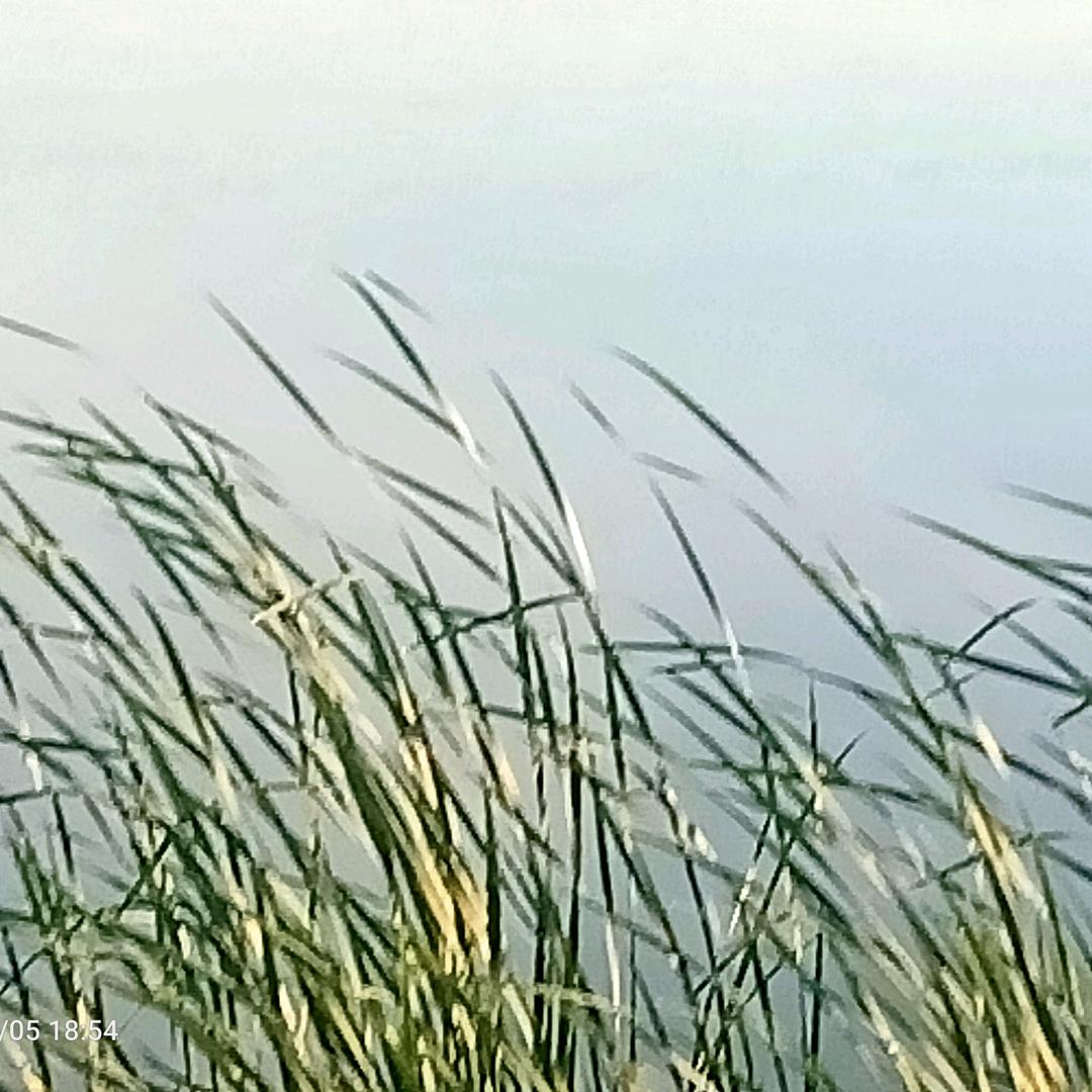 一名法师