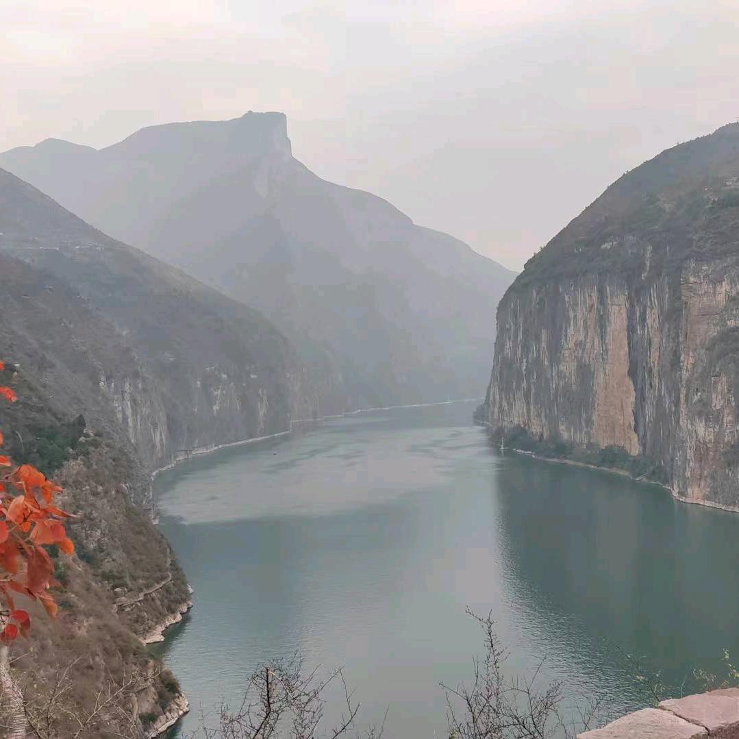 幽雅静涵