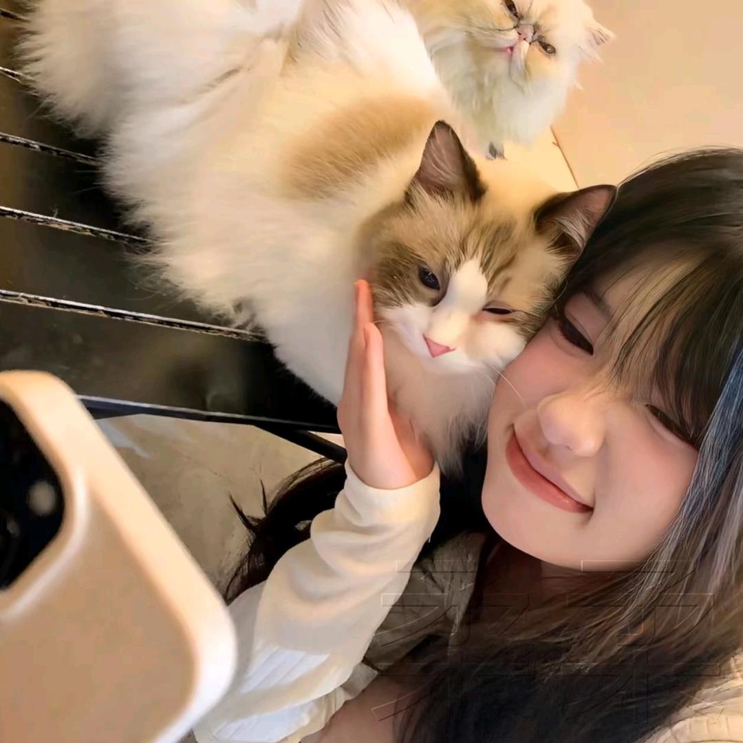 汕鹤.z