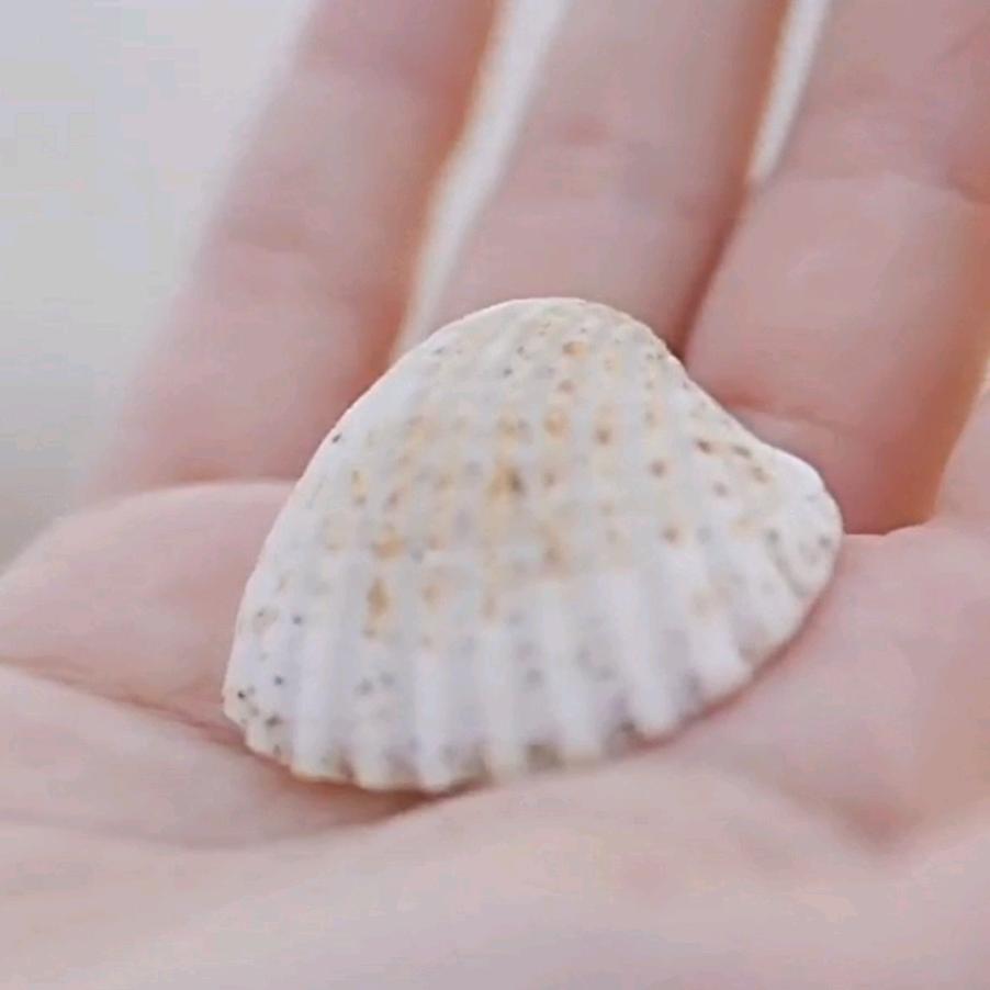 🌱静