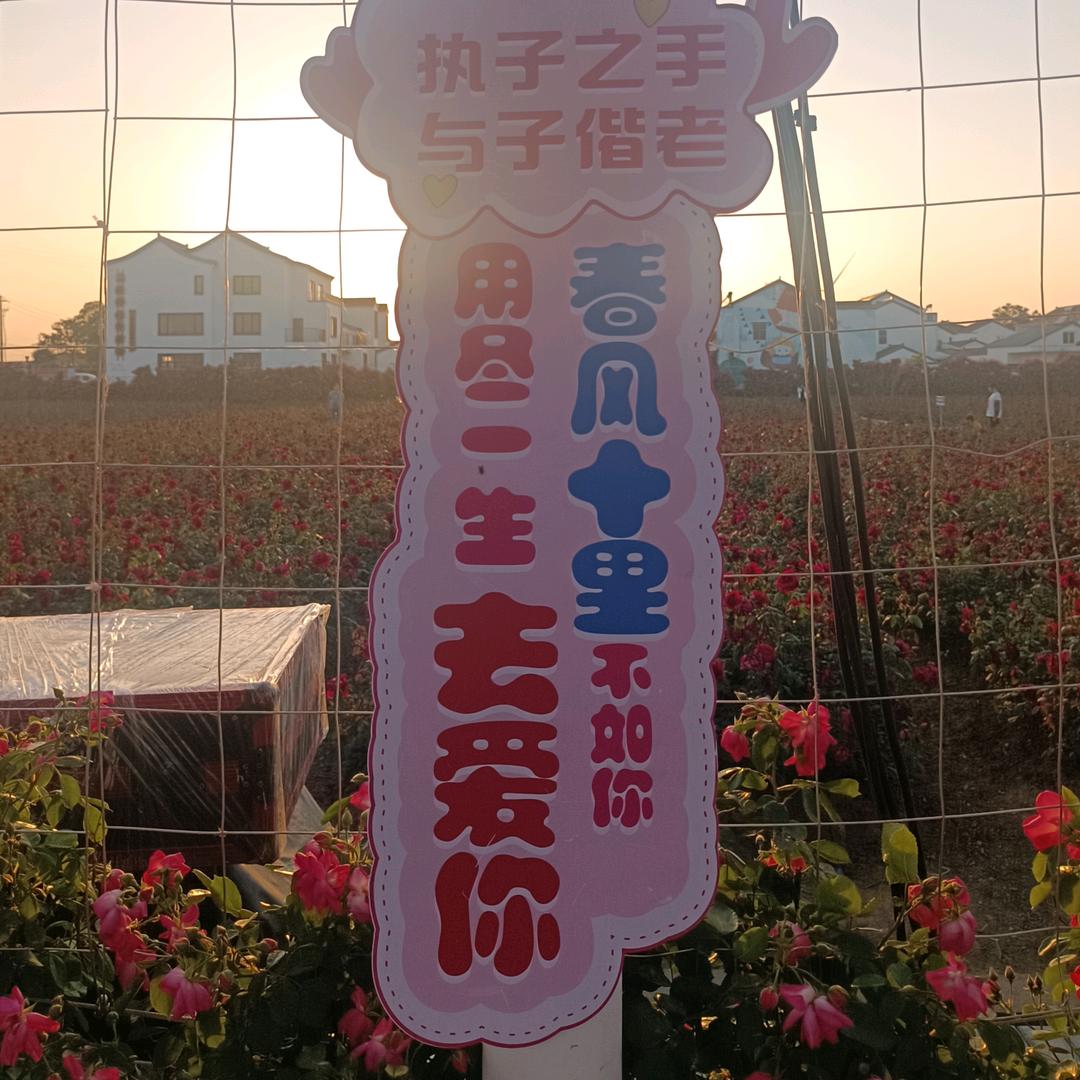 🈶意思
