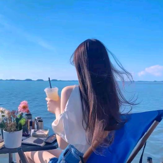 靓点手机壳