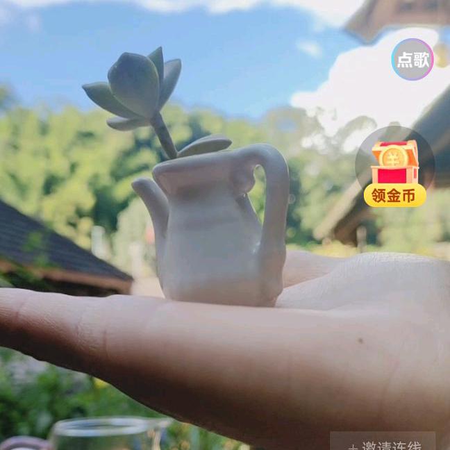 天天哄你💞