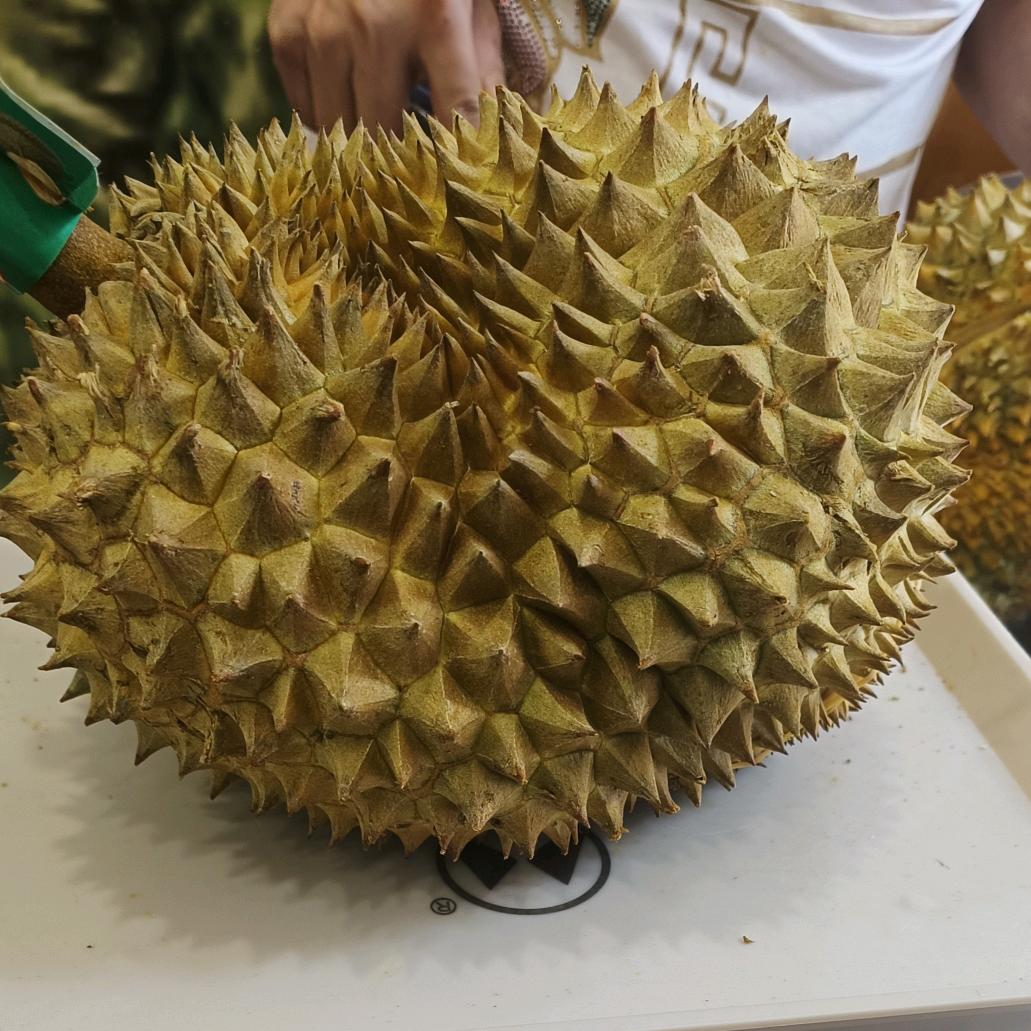 小九