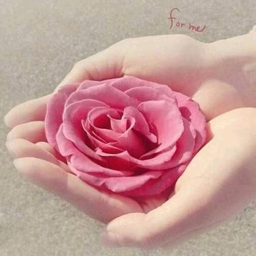 燕子YZ   ¹⁹⁴¹