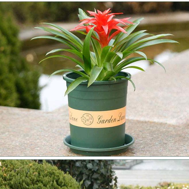 尚优园艺工厂店