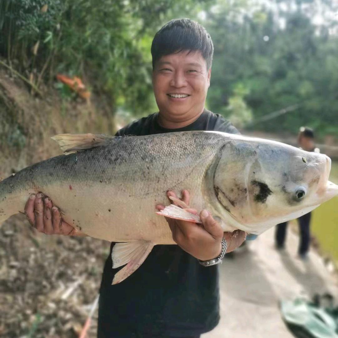 爱钓鱼🎣的大头哥