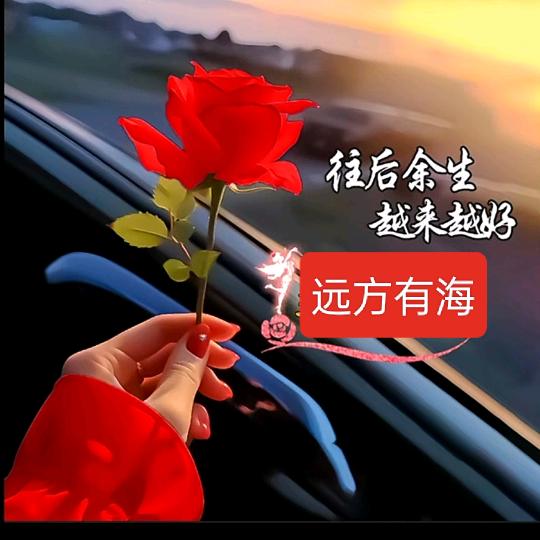 远方有海