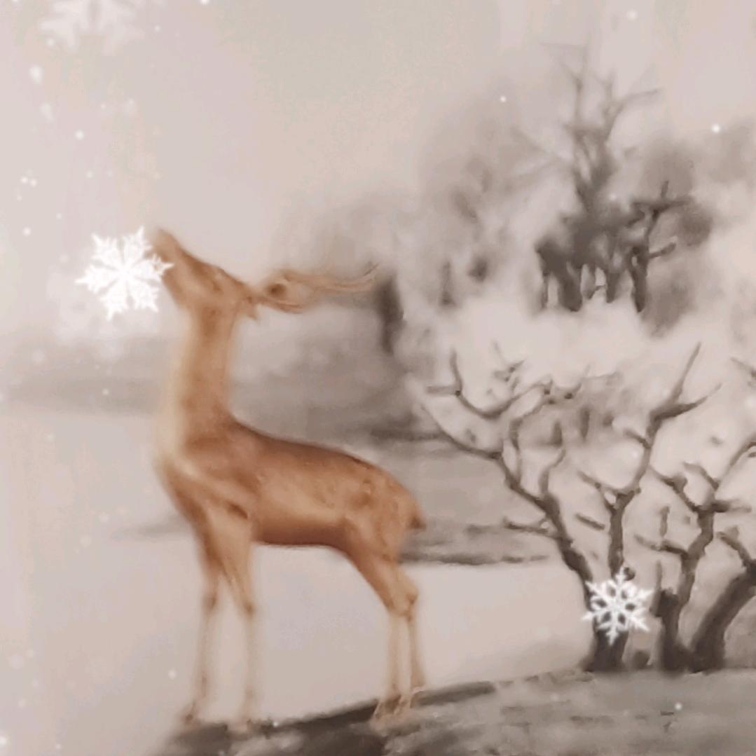 陈阿姨