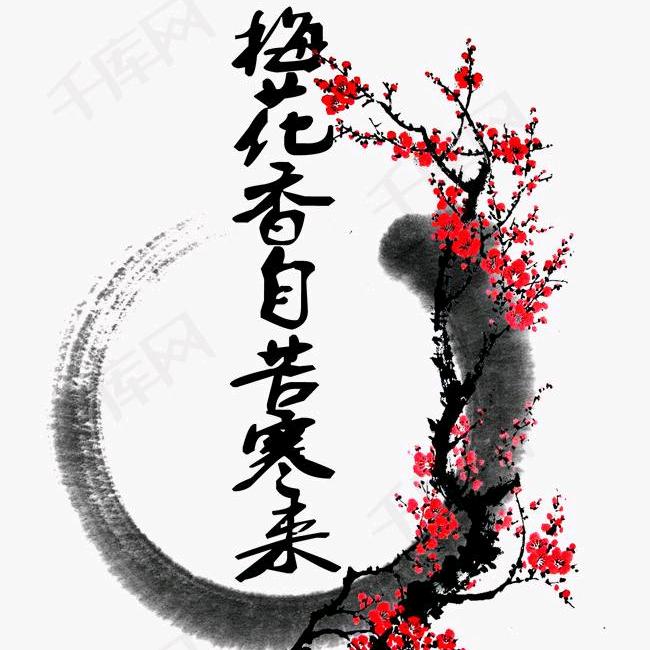 红梅🌹