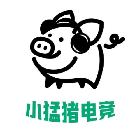 小猛猪电竞