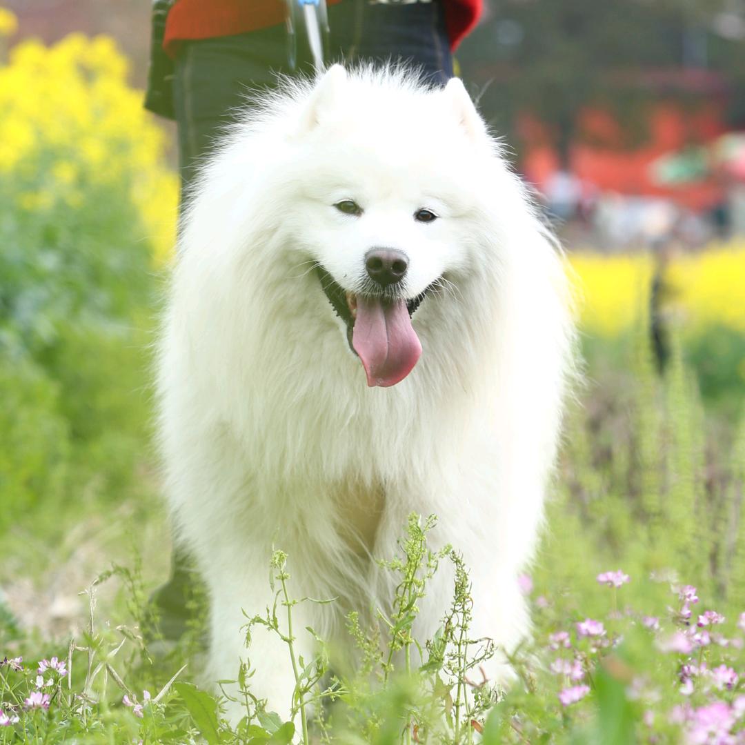 陈摩卡不是咖啡☕️