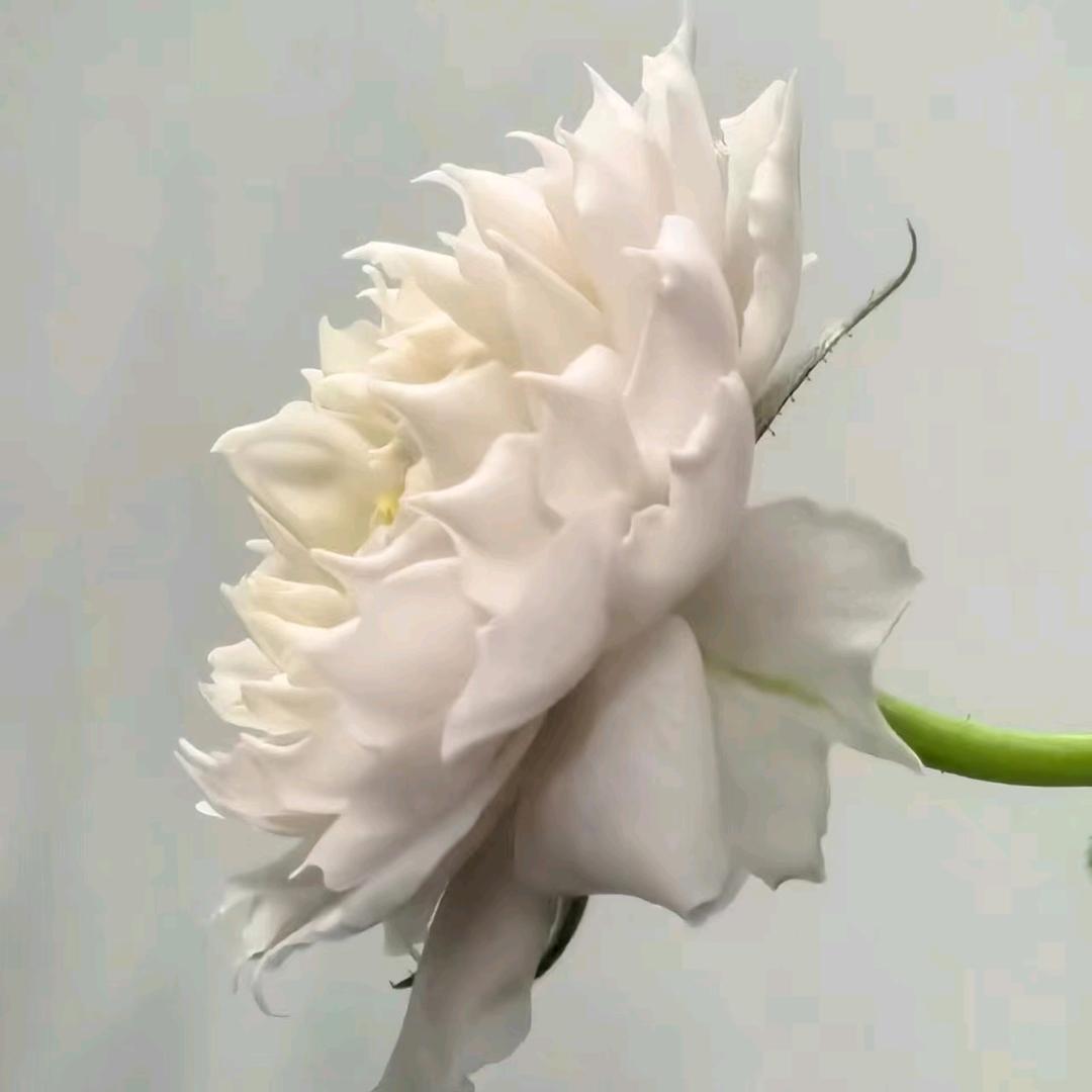 锦程线缆