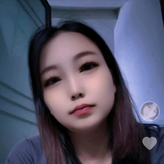 (单只蝴蝶）